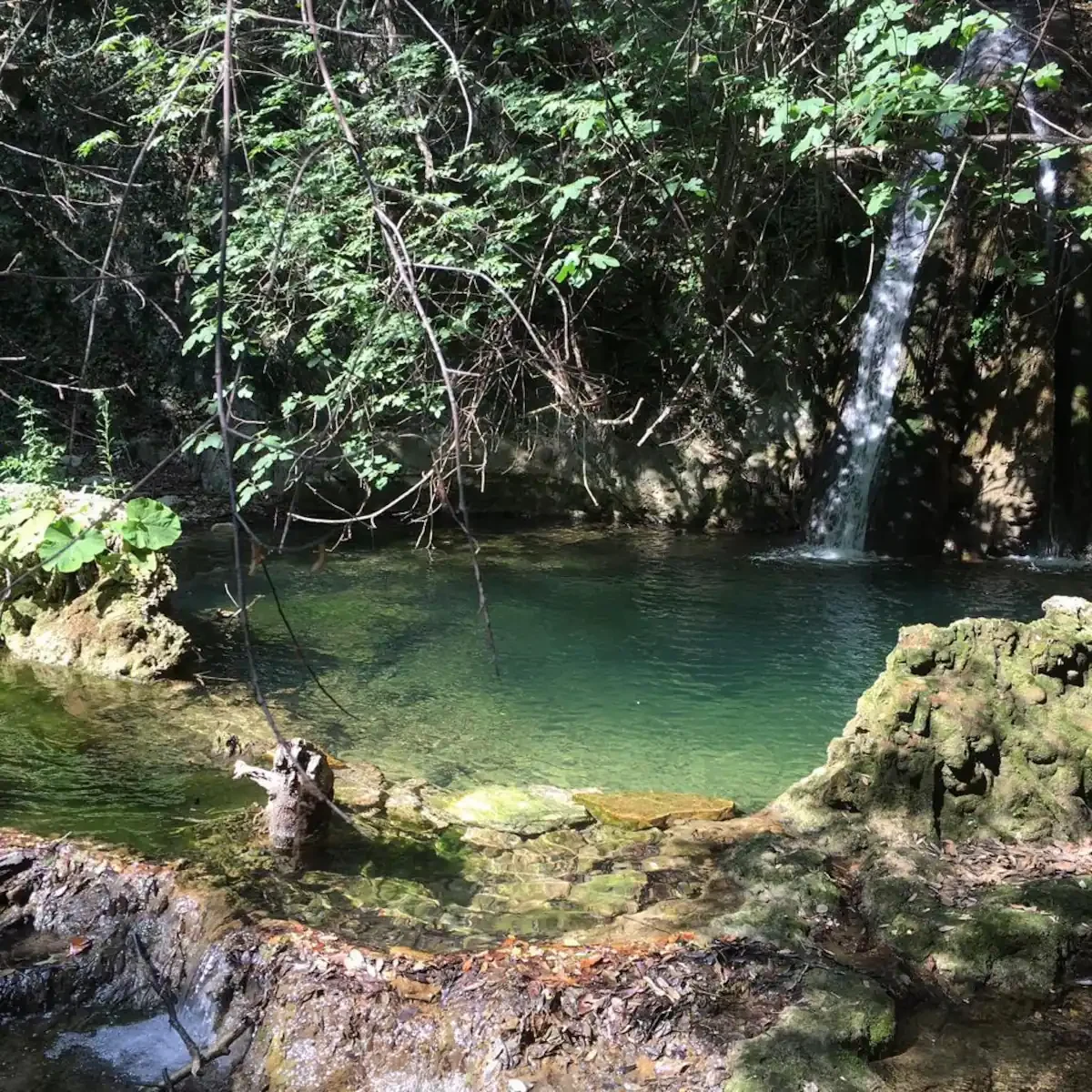 La pozza naturale tra le rocce e la vegetazione