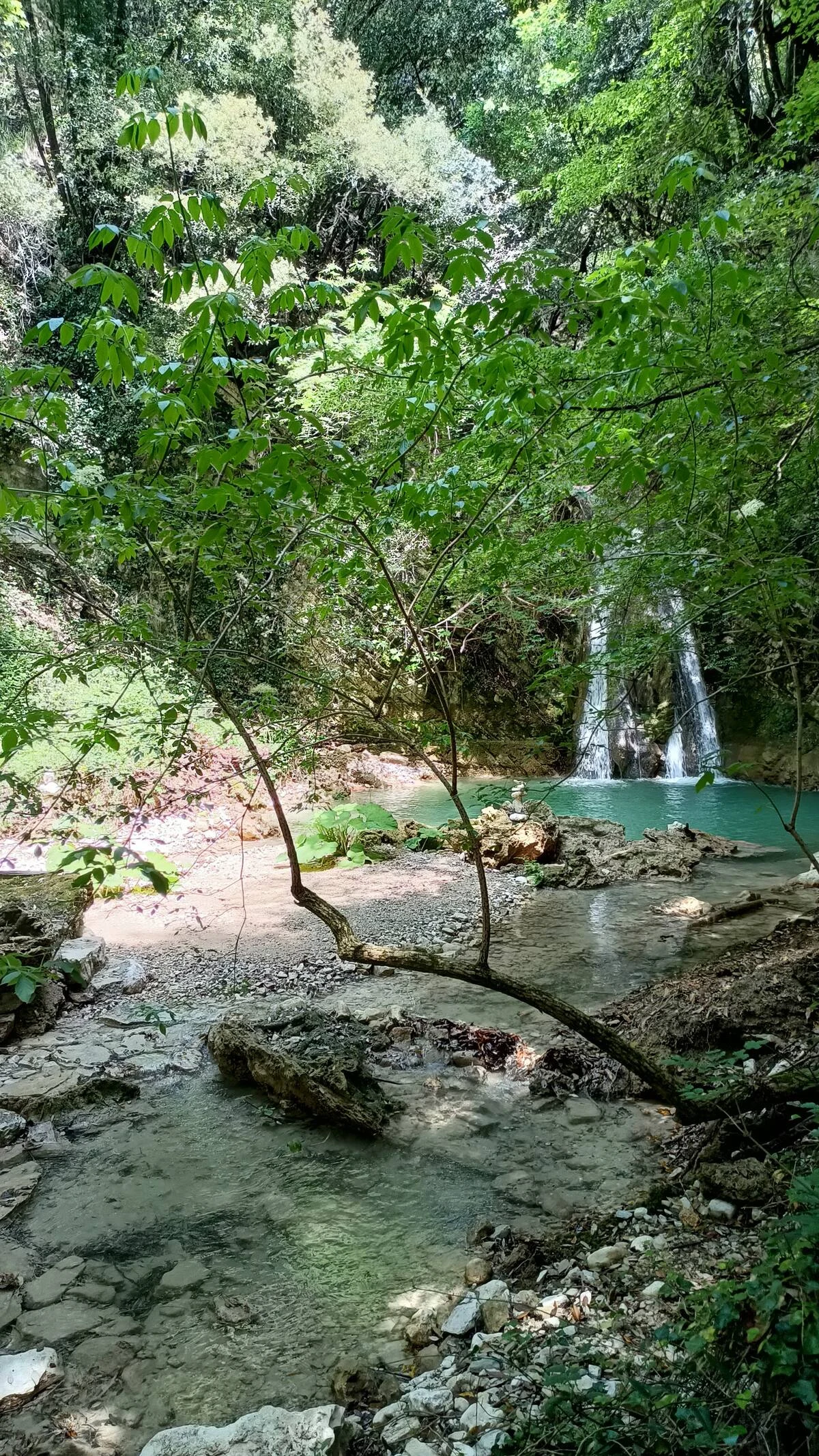 Il ruscello e la cascata incorniciati dai rami e dalle foglie